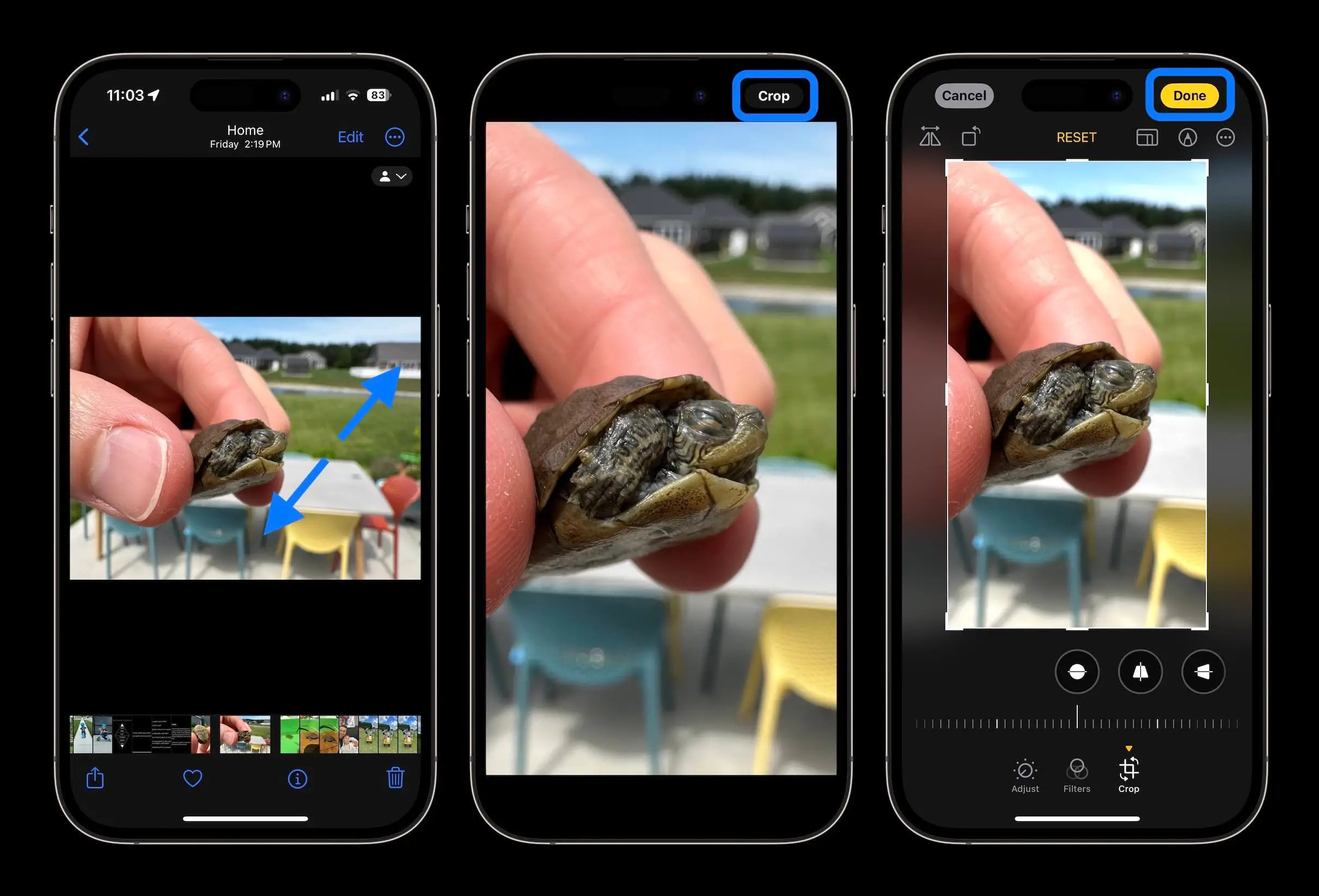 Detaillierte Ansicht der Quick Crop Funktion in der iOS 17 Fotos App mit hervorgehobenem Zuschneiden-Button