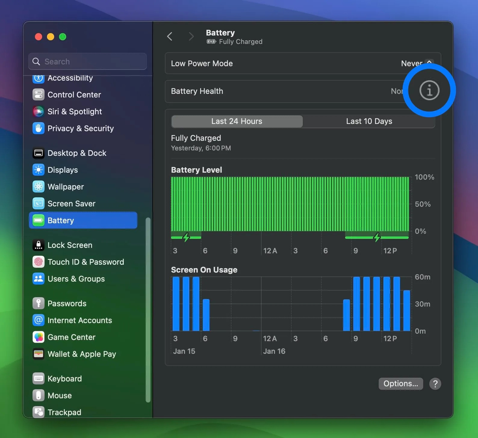 Detaillierte Ansicht des Batteriezustands und der maximalen Kapazität im Menü