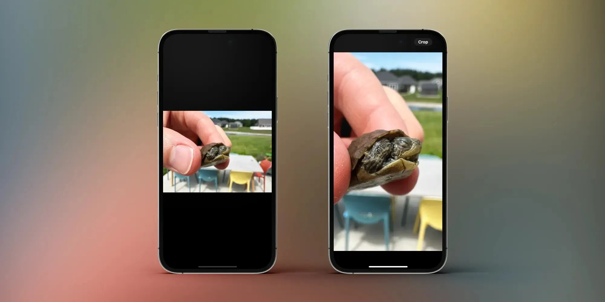 Benutzeroberfläche der iPhone Fotos-App unter iOS 17 zeigt die neue Zuschneiden-Taste oben rechts nach dem Zoomen